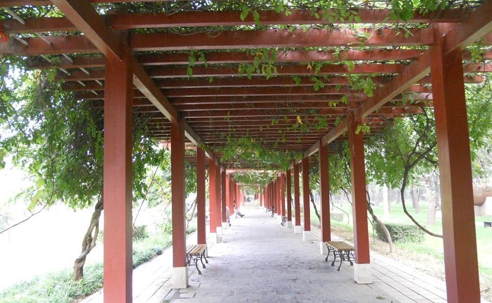 大连防腐91成人短视频 大连防腐91成人短视频